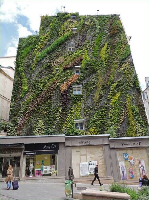 Il giardino verticale di Oasis Aboukir di Patrick Blanc