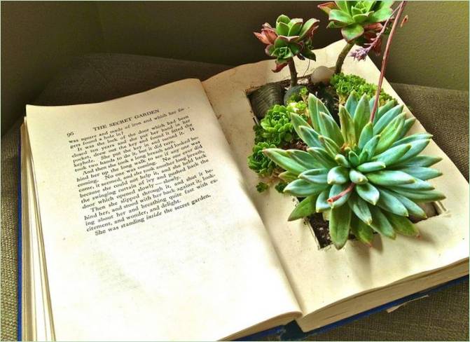 La fioriera originale del libro