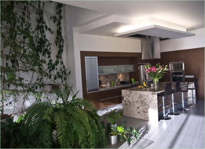 Progetto di interni per una casa in una foresta di eucalipti, Zapopan, Jalisco, Messico