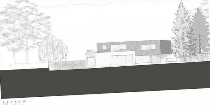 Disegno di una casa a cuneo irregolare nel Surrey