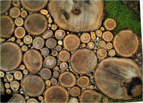 Un sentiero di legno nel giardino