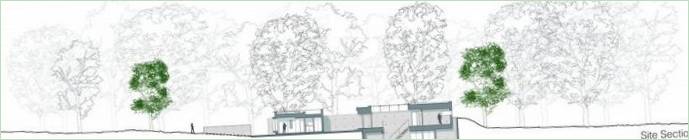 Progettazione di case nella foresta nel Regno Unito