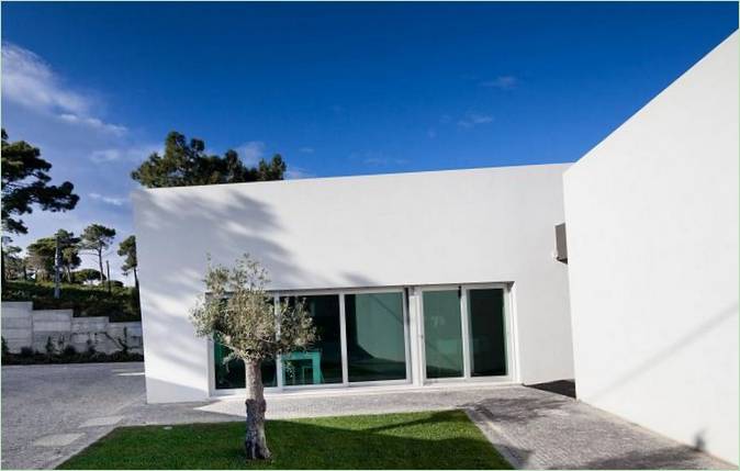 Prato verde nel cortile di Godiva House