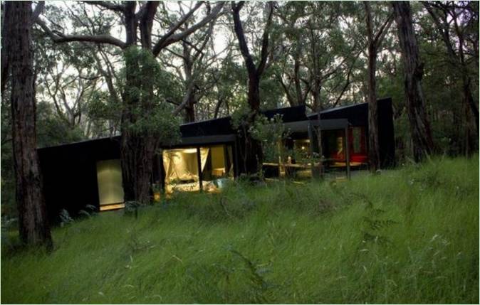 Il sorprendente design della Red Hill Cabin nel bosco