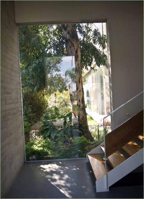 Progetto di interni per una casa in una foresta di eucalipti, Zapopan, Jalisco, Messico