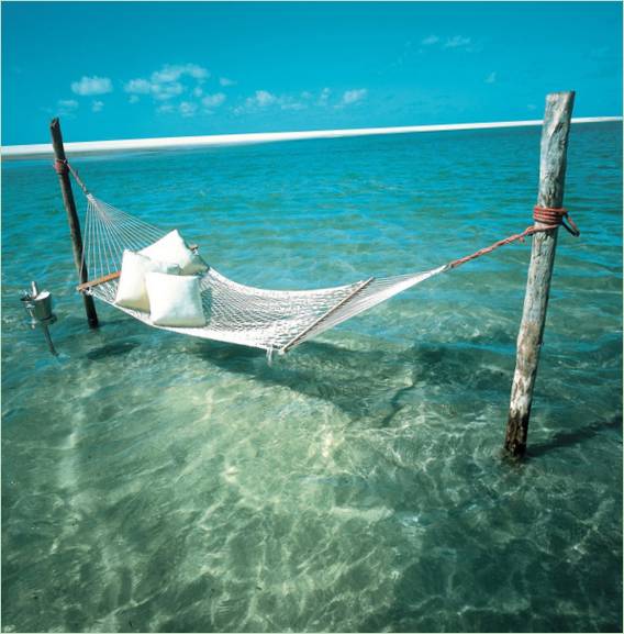 Immagini delle vacanze
