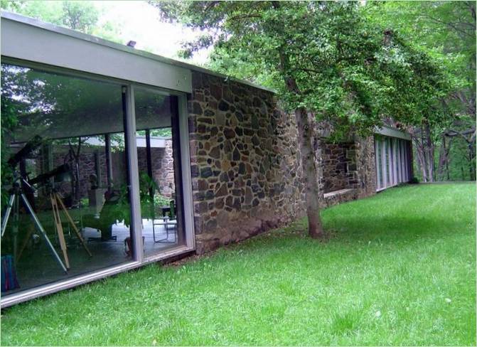 Armonia con la natura nella casa americana contemporanea