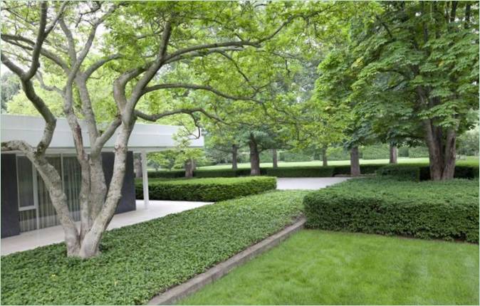 Il pittoresco cortile della moderna casa americana