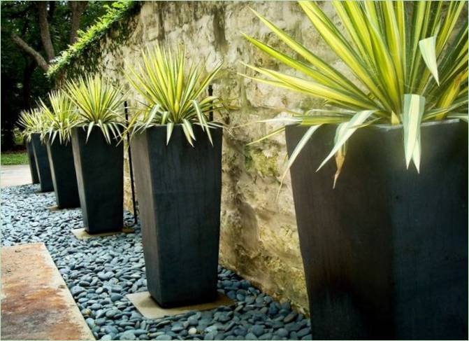 Paesaggio del cortile