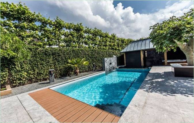 Un muro di verde accanto alla piscina del cortile