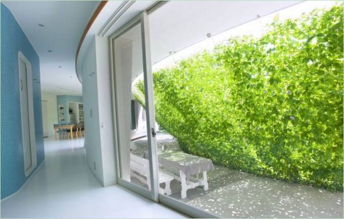 Vista da una finestra su una terrazza verde