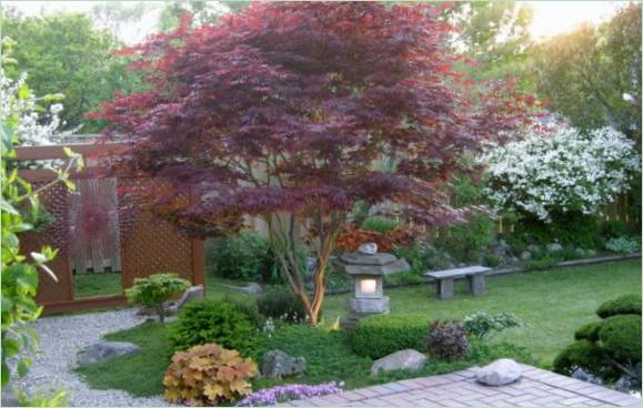 Progettazione di giardini giapponesi