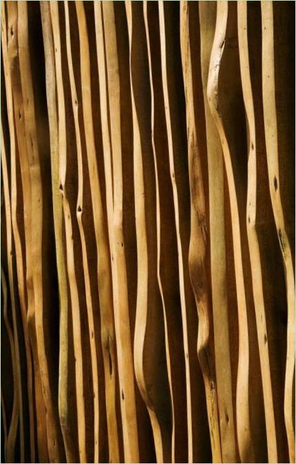 Il legno all'interno della residenza di Tangga