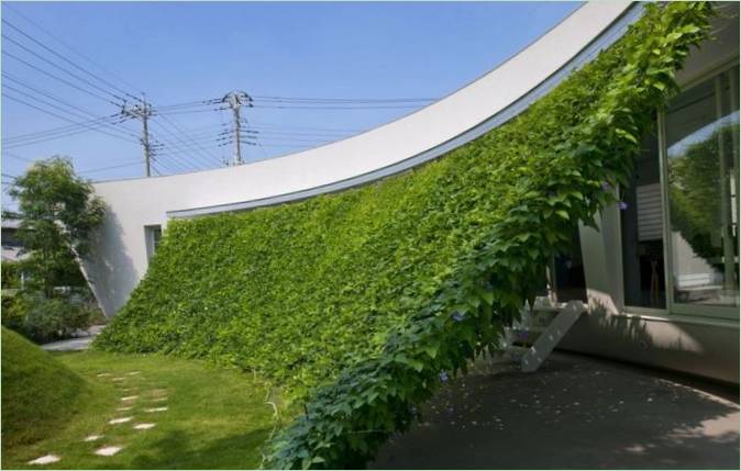 All'ombra di questa parete verde ci si può rilassare in un pomeriggio caldo