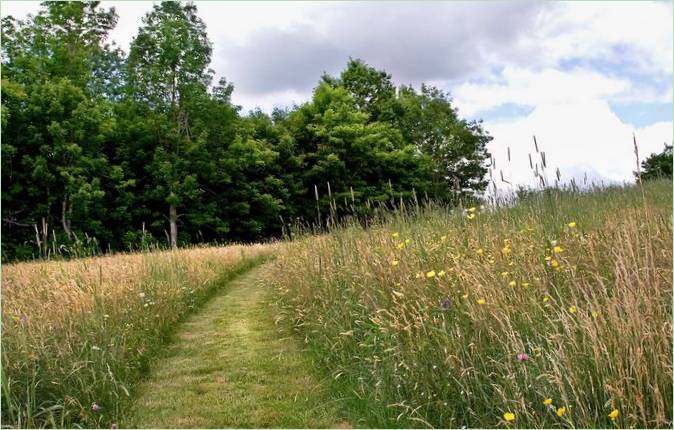 Paesaggio del prato di Matthew Cunningham Landscape Design LLC