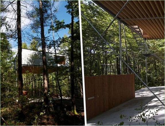 Il cortile di una casa nella foresta