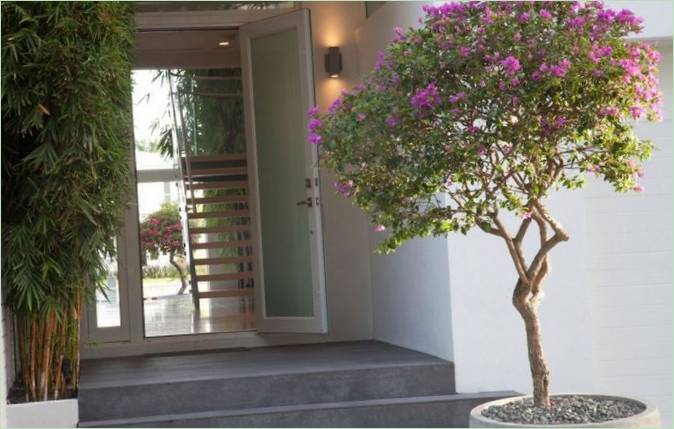 Area d'ingresso