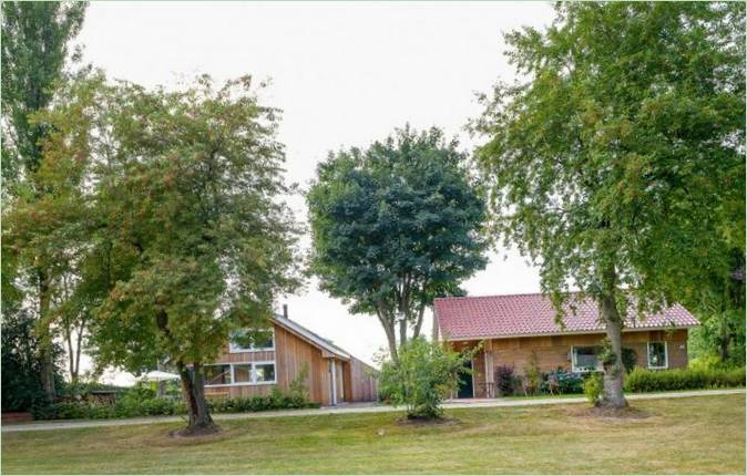 La sistemazione del terreno della casa di famiglia a Rotterdam