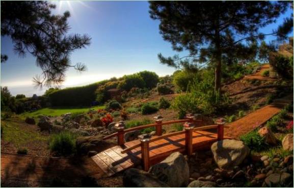 Paesaggio del giardino in stile giapponese