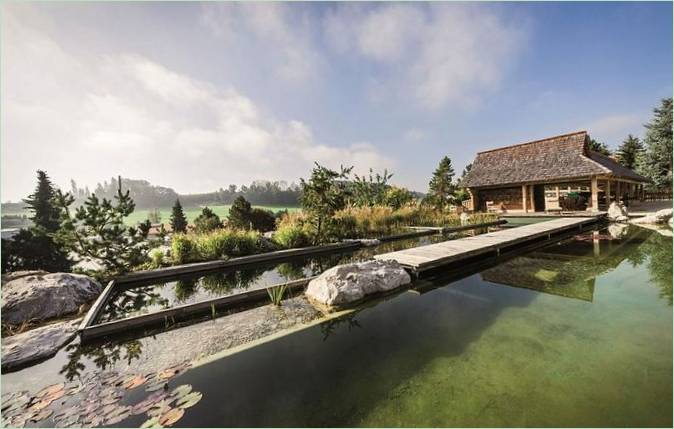 Piscina con laghetto naturale di Balena GmbH