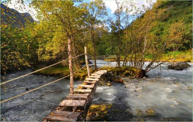 Ponte fatto in casa