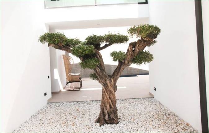 Il legno negli interni di una residenza privata