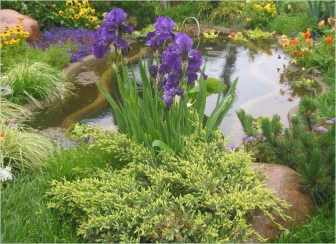 Paesaggio del giardino all'inglese