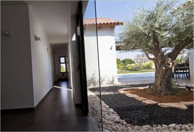 Un albero nel cortile di una residenza privata