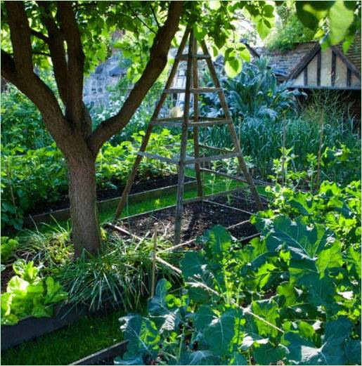 Progettare un giardino in stile country