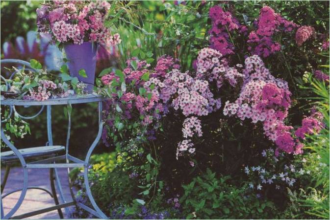 Paesaggio inglese