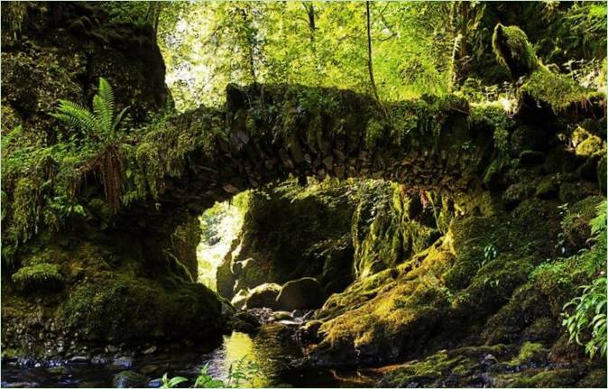Ponte magico in Scozia