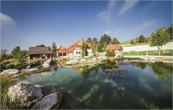 Piscina con laghetto naturale di Balena GmbH