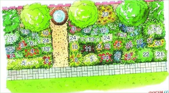 Decorazione della recinzione con piante da fiore