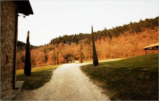 Strada di accesso alla villa Casa Bramasole in Italia