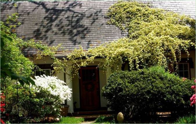 Paesaggio del giardino all'inglese