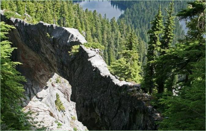 Tra le nuvole, Monte Rainier, USA - Foto 2