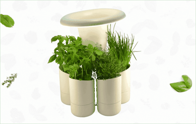 Un'illustrazione delle possibilità di coltivazione delle erbe aromatiche
