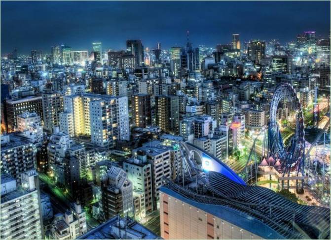 Vista notturna di Tokyo