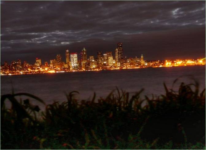 Una vista di Seattle di notte